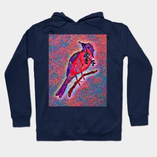 Bird of Peace Hoodie